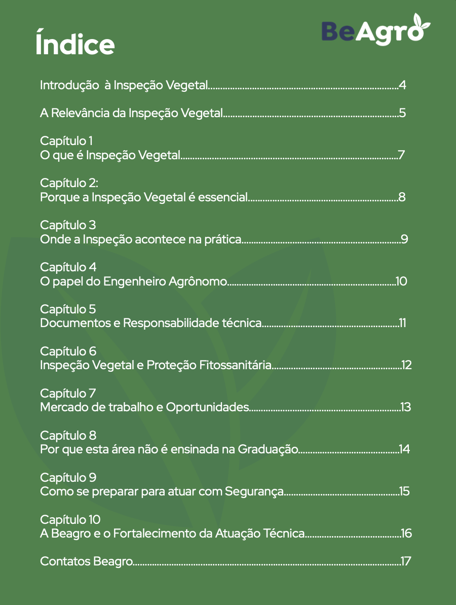 Índice do e-book, com os 10 capítulos e as páginas